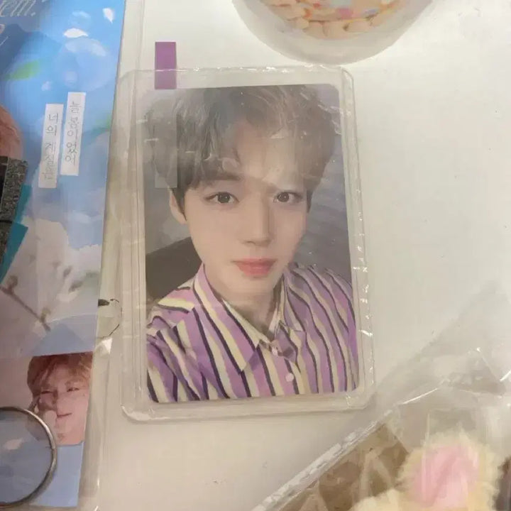 [BUNJANG] Sosome (소심이) Sealed Doll, Unofficial Merch, and 1st Generation Fanclub Photocard Bundle Set / 소심이 미개봉 및 비공굿 및 팬클럽 1기 포카