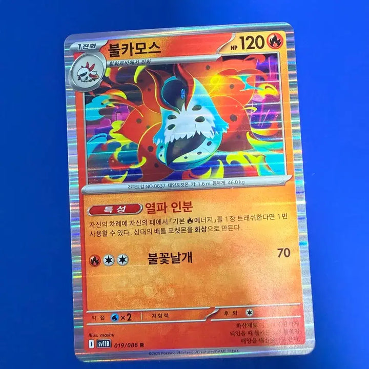 [BUNJANG] Pokemon Card Volcarona Card / 포켓몬카드 불카모스 카드