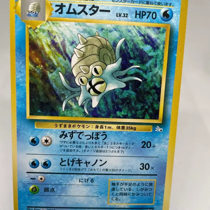 [BUNJANG] 1997 Umbreon Old Back Vintage Pokemon Card / 1997 암나이트 올드백 고전 빈티지 포켓몬카드