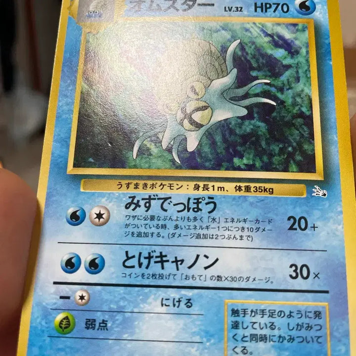 [BUNJANG] 1997 Umbreon Old Back Vintage Pokemon Card / 1997 암나이트 올드백 고전 빈티지 포켓몬카드