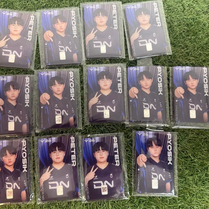 [BUNJANG] LCK DNS Player Silver Card / LCK DNS 선수 실버카드 판매합니다.
