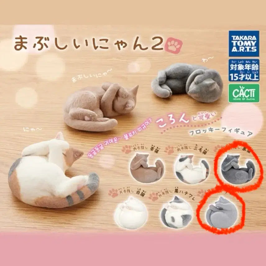 [BUNJANG] Fluffy Cat Gacha Figure / 눈이부시냥 마부시이냥 고양이 가챠 피규어