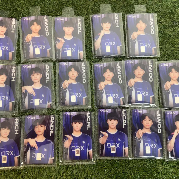 [BUNJANG] DRX LCK Silver Card / LCK 실버카드 DRX 실버카드 판매합니다.