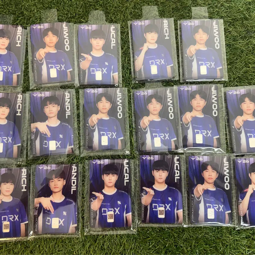 [BUNJANG] DRX LCK Silver Card / LCK 실버카드 DRX 실버카드 판매합니다.