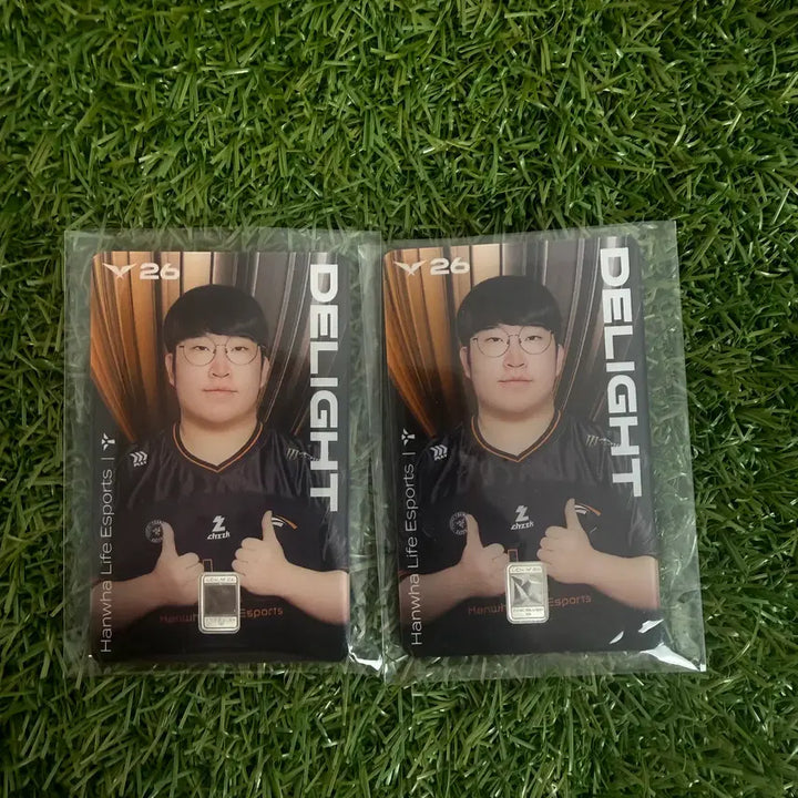 [BUNJANG] Hanwha eSports LCK Silver Card / LCK 실버카드 한화 딜라이트 실버카드 판매합니다.