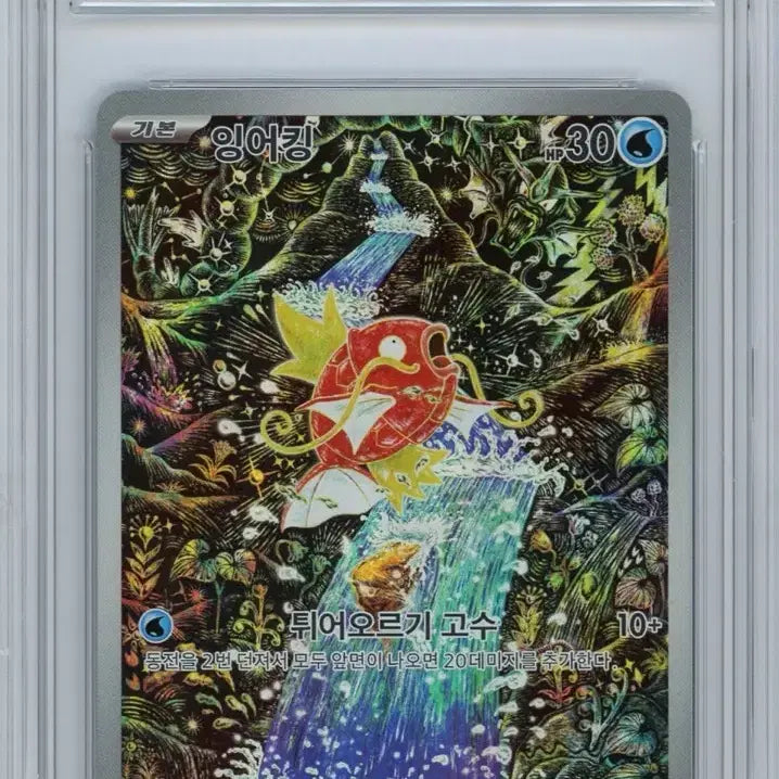 [BUNJANG] Shin Ji-kanda Illustration Magikarp AR BRG 10 Pair / 잉어킹 ar brg 10 2연번 입니다