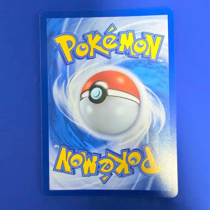 [BUNJANG] Pokemon Card Toon Bear Card / 포켓몬카드 툰베어 카드