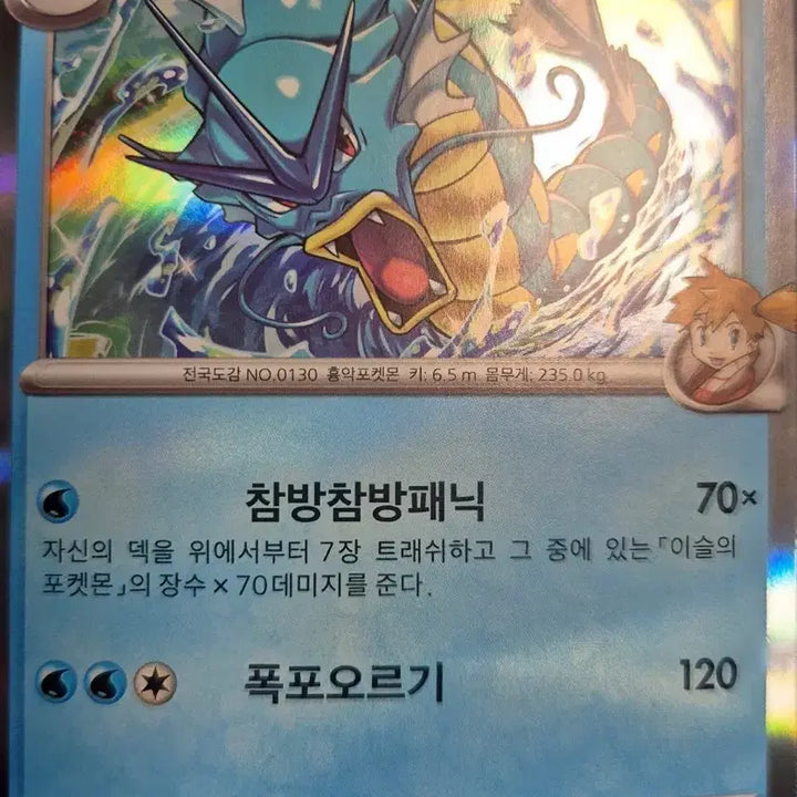 [BUNJANG] Gyarados Rare Card / 갸라도스