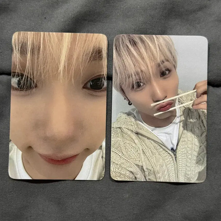 [BUNJANG] Darkbee YOOKU Japan Fancon SIGNAL Photocard Set (2 cards) Bundle Set / 다크비 유쿠 일본 팬콘 SIGNAL 랜포 포카 세트 2장 일괄