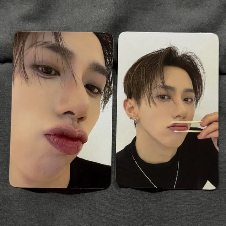 [BUNJANG] DARKBEAM Harryjun Japan Fancon SIGNAL Photocard Set Bundle / 다크비 해리준 일본 팬콘 SIGNAL 랜포 포카 세트 2장 일괄
