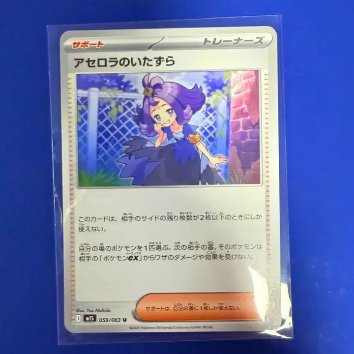 [BUNJANG] Pokemon Card Acerola Card Japanese / 포켓몬카드 아세로라 카드 일판