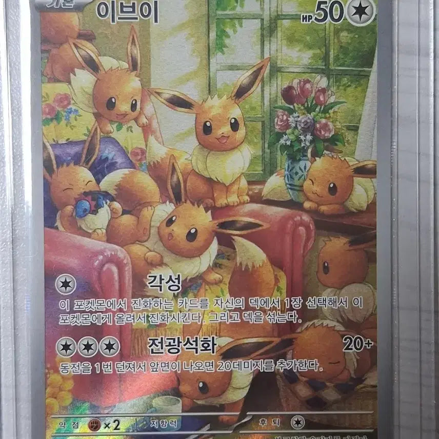 [BUNJANG] Eevee AR Card / 이브이 AR