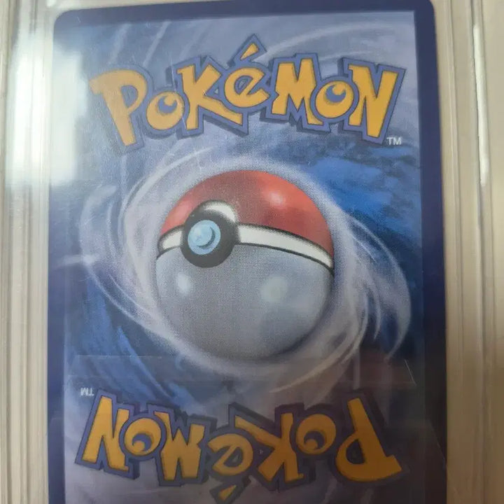 [BUNJANG] Pokemon Trainer Card - N&