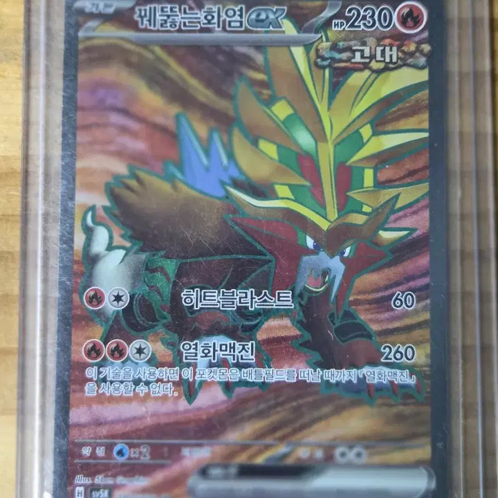 [BUNJANG] Pokémon Card SV5K (Wild Force) SR - Top Graded Potential / 꿰뚫는화염 ex sr 판매(등급용)