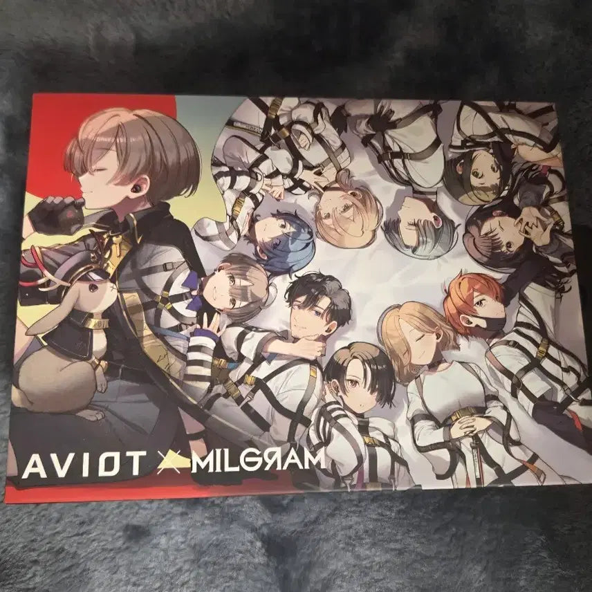 [BUNJANG] MILGRAM x AVIOT Collaboration Earphones / MILGRAM 밀그램 AVIOT 콜라보 이어폰