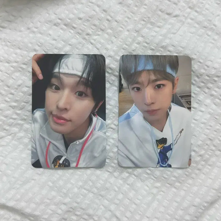[BUNJANG] NCT WISH Surf Singapore POB Photocard / 엔시티위시 서프 싱가포르 미공포 하우스오브케이팝 교환