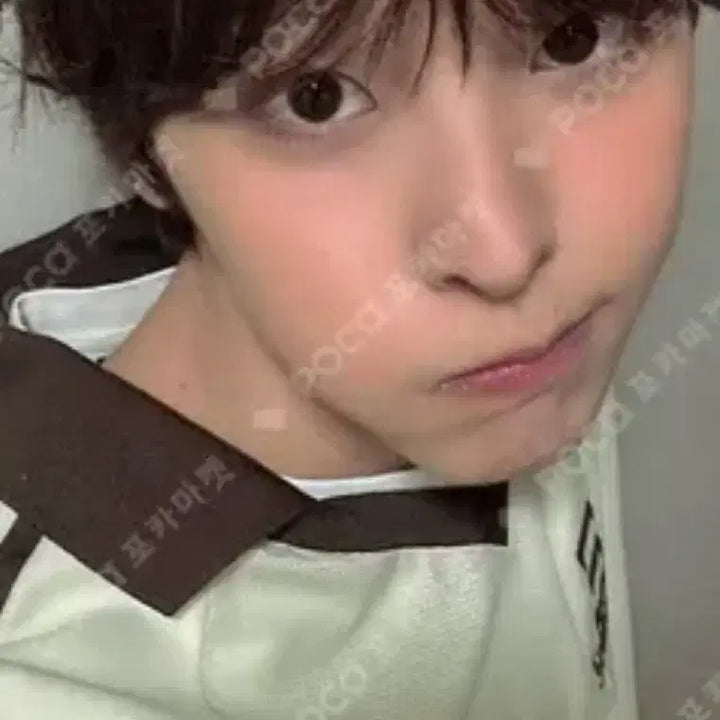 [BUNJANG] NCT WISH Surf Singapore POB Photocard / 엔시티위시 서프 싱가포르 미공포 하우스오브케이팝 교환