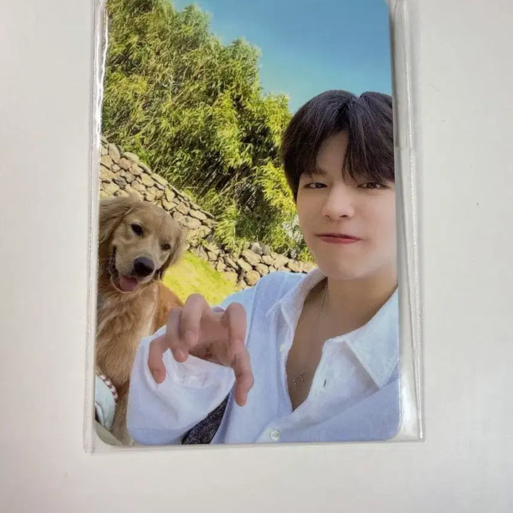 [BUNJANG] Stray Kids Seungmin Exhibition Photocard (Sealed) / 스트레이키즈 강아지 승민 전시회 랜덤포카 미개봉