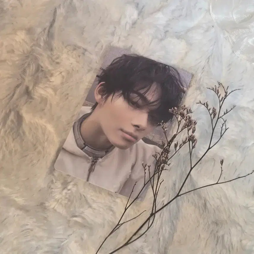 [BUNJANG] ENHYPEN NI-KI Photocard / 엔하이픈 엔진반 니키 포카