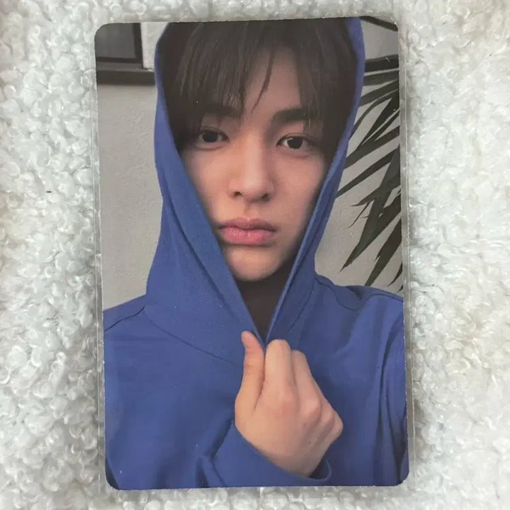 [BUNJANG] CORTIZ Gunho Photocard / 코르티스 건호 스트릿 포카