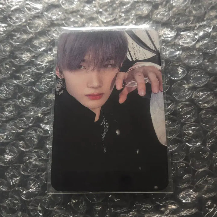 [BUNJANG] ENHYPEN DIMA MUJO Lucky Draw Photocard / 앤팀 디마뮤 dear my muse jo 죠 럭드 포카 포토카드