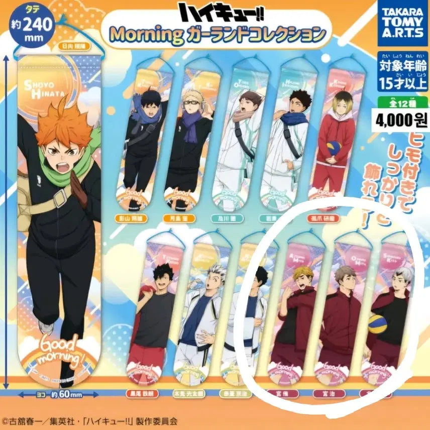 [BUNJANG] Haikyuu!! Inarizaki Trio Morning Garland Bundle Set / 하이큐 모닝가랜드 이나리자키 3인방