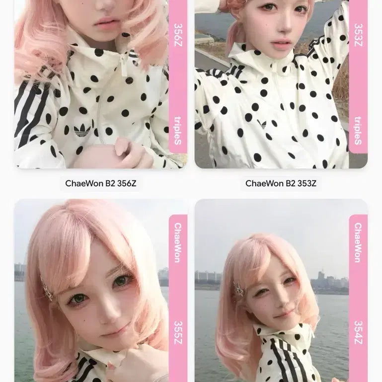 [BUNJANG] tripleS Chaeyeon Bundle Set BB353 BB354 BB355 BB356 / 트리플에스 채원 BB353 BB354 BB355 BB356 세트