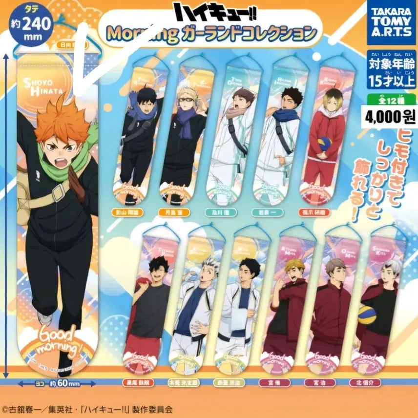 [BUNJANG] Haikyuu!! Hinata Morning Garland / 하이큐 모닝가랜드 - 히나타