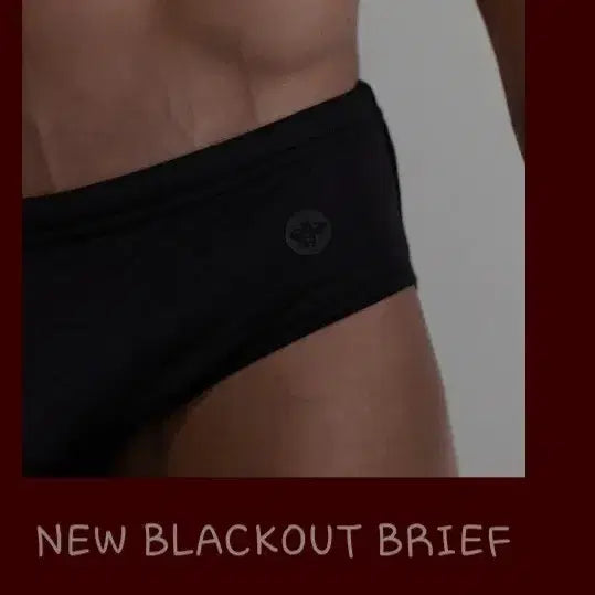 [BUNJANG] ARONIK Black Triangle Brief Swimwear / ARONIK 삼각 브리프 수영복 검정