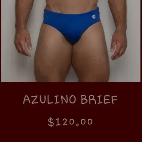 [BUNJANG] ARONIK Blue Triangle Brief Swimsuit / ARONIK 삼각 브리프 수영복 파랑