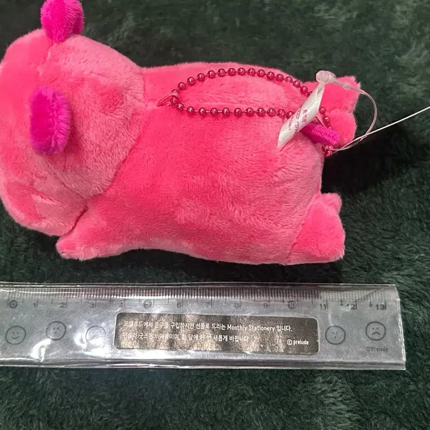 [BUNJANG] Tabekodobuts Ham Ham Plush / 타베코도부츠 하마 엎드린 하마 인형