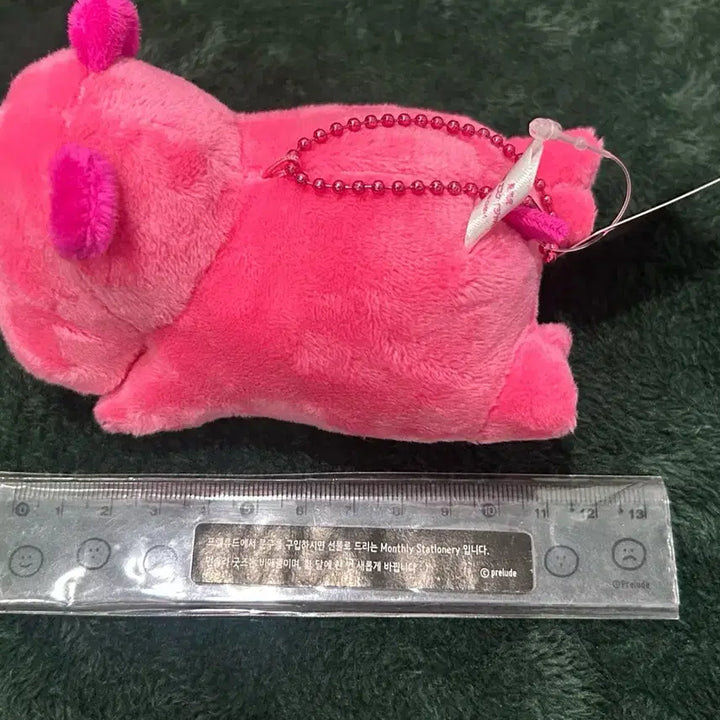 [BUNJANG] Tabekodobuts Ham Ham Plush / 타베코도부츠 하마 엎드린 하마 인형