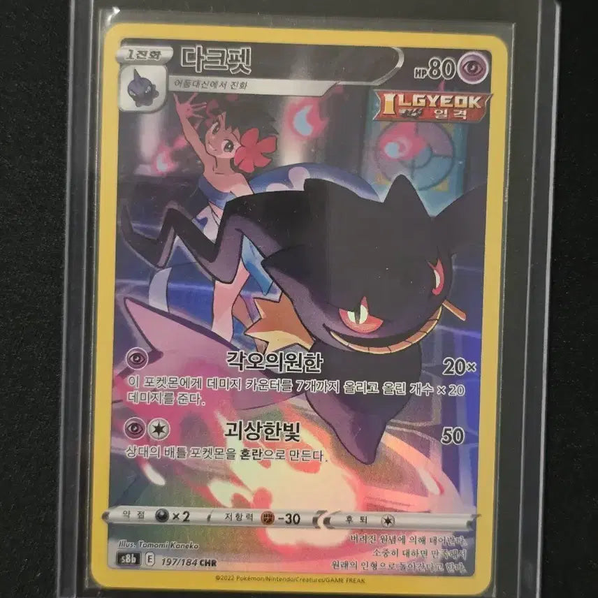 [BUNJANG] Pokemon Card Darkest Lair CHR / 포켓몬카드 다크펫 CHR