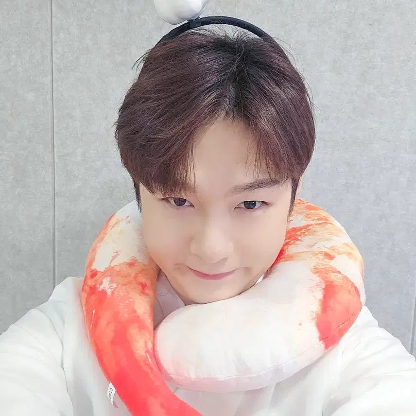 [BUNJANG] BTOB Lee Changsub Bundle Set / 비투비 탈덕 처분 (대부분 이창섭 구성으로