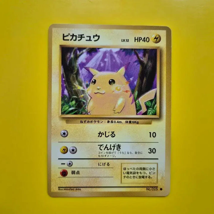 [BUNJANG] Pokemon Card Pikachu 1996 First Edition Japanese / 포켓몬카드 1996 큰 피카츄 초판 일판 일본판 10