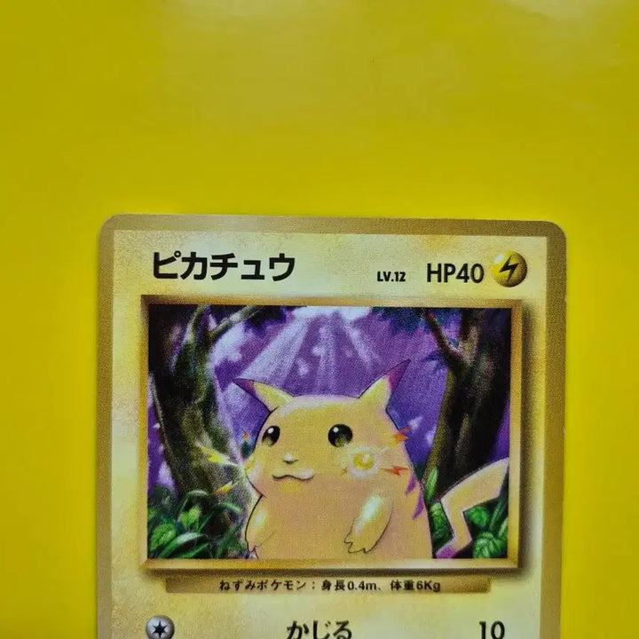 [BUNJANG] Pokemon Card Pikachu 1996 First Edition Japanese / 포켓몬카드 1996 큰 피카츄 초판 일판 일본판 10
