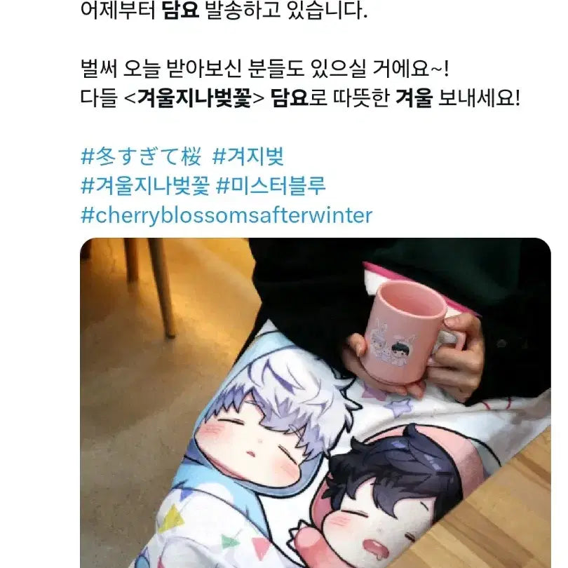 [BUNJANG] Winter Passing Cherry Blossom BL Blanket / 겨울 지나 벚꽃 BL 담요(웹툰샵