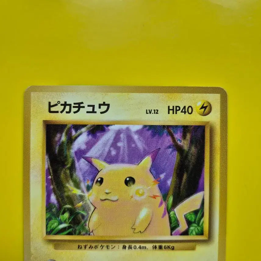 [BUNJANG] Pokemon Card 1996 Pikachu 1st Edition Japanese / 포켓몬카드 1996 큰 피카츄 초판 일판 일본판 1