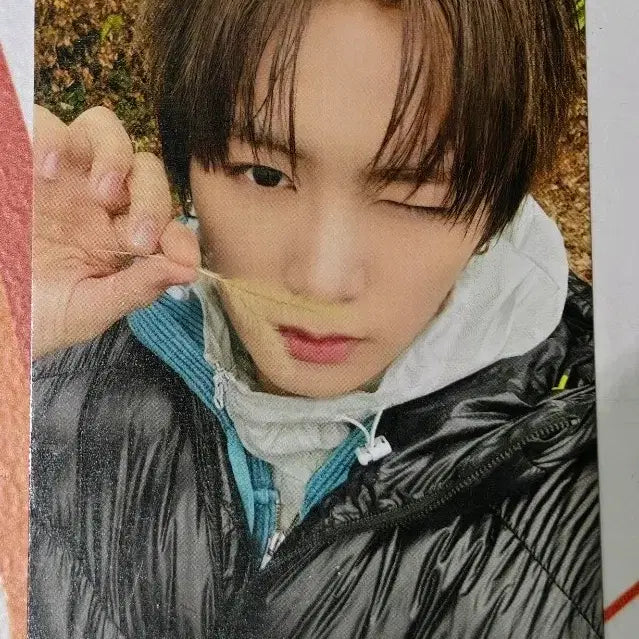 [BUNJANG] ALDI ONE OMG Official Photocard / 알디원 안신 OMG 공방 포카 ald1