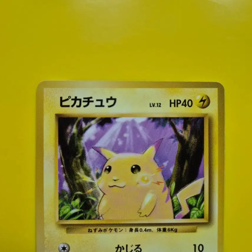 [BUNJANG] Pokemon Card Pikachu 1st Edition Japanese / 포켓몬카드 1996 큰 피카츄 초판 일판 일본판 2