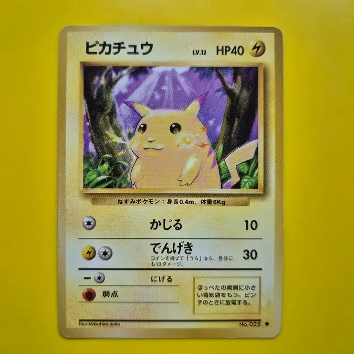 [BUNJANG] Pokemon Card 1996 Pikachu 1st Edition Japanese / 포켓몬카드 1996 큰 피카츄 초판 일판 일본판 3
