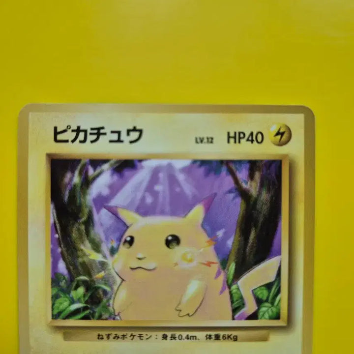 [BUNJANG] Pokemon Card 1996 Pikachu 1st Edition Japanese / 포켓몬카드 1996 큰 피카츄 초판 일판 일본판 3