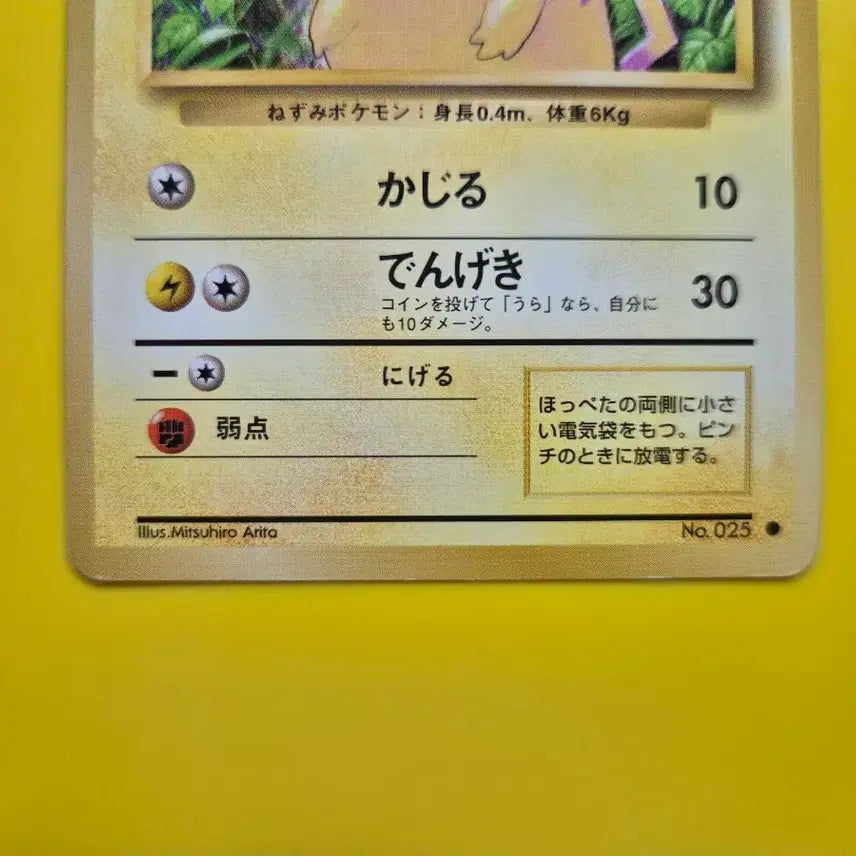 [BUNJANG] Pokemon Card 1996 Pikachu 1st Edition Japanese / 포켓몬카드 1996 큰 피카츄 초판 일판 일본판 3
