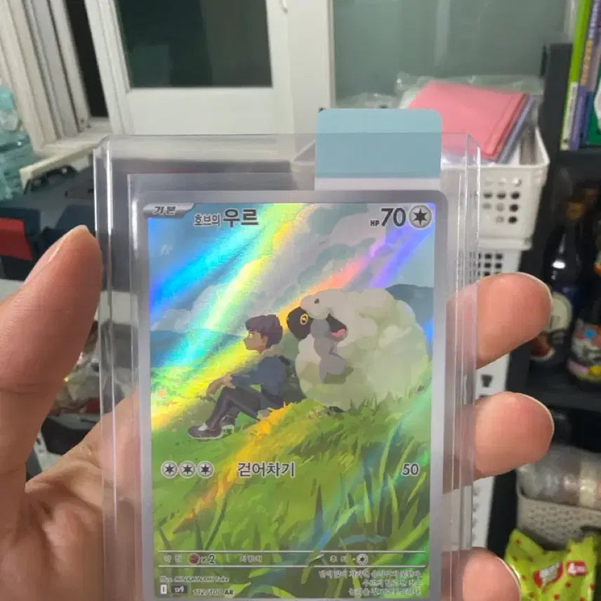 [BUNJANG] Pokemon Card Hob&