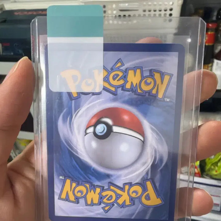 [BUNJANG] Pokemon Card Hob&