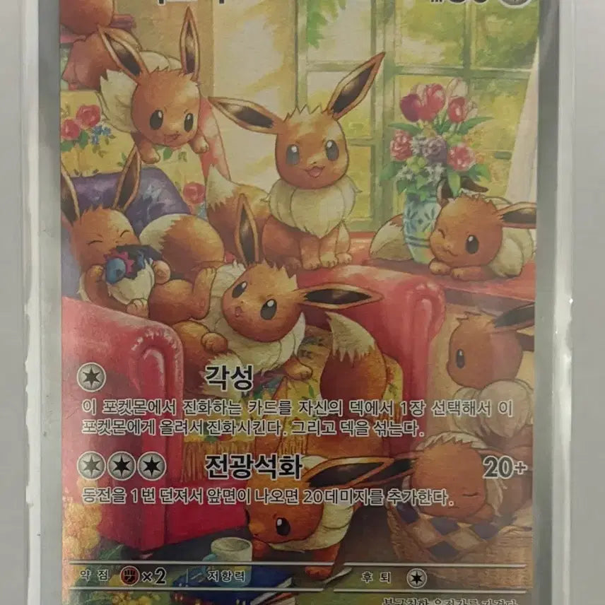 [BUNJANG] Pokemon Card Eevee AR Mint Condition Centering / 포켓몬카드 이브이 AR 상태, 센터링 좋음