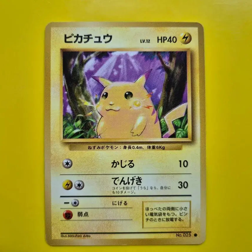[BUNJANG] Pokemon Card 1996 Pikachu 1st Edition Japanese Centering Good / 포켓몬카드 1996 큰 피카츄 초판 센터링굿 일판 일본판 3