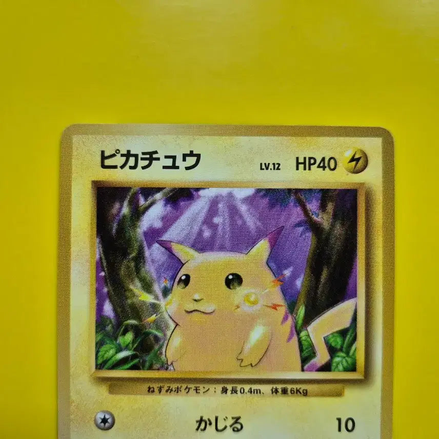 [BUNJANG] Pokemon Card 1996 Pikachu 1st Edition Japanese Centering Good / 포켓몬카드 1996 큰 피카츄 초판 센터링굿 일판 일본판 3