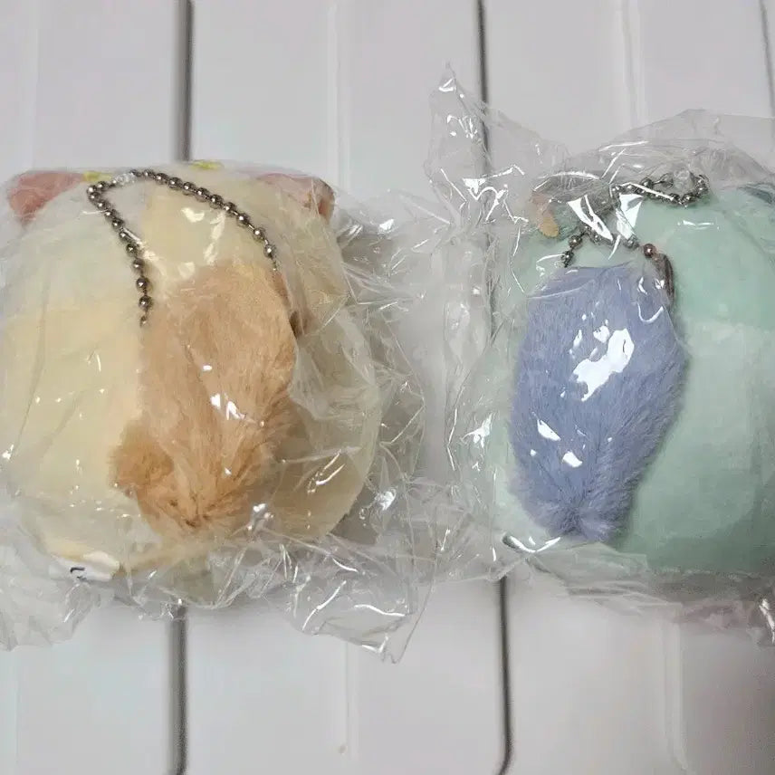 [BUNJANG] Mochifu Chinchilla Plushie Set / 모찌후와 친칠라 인형 2종