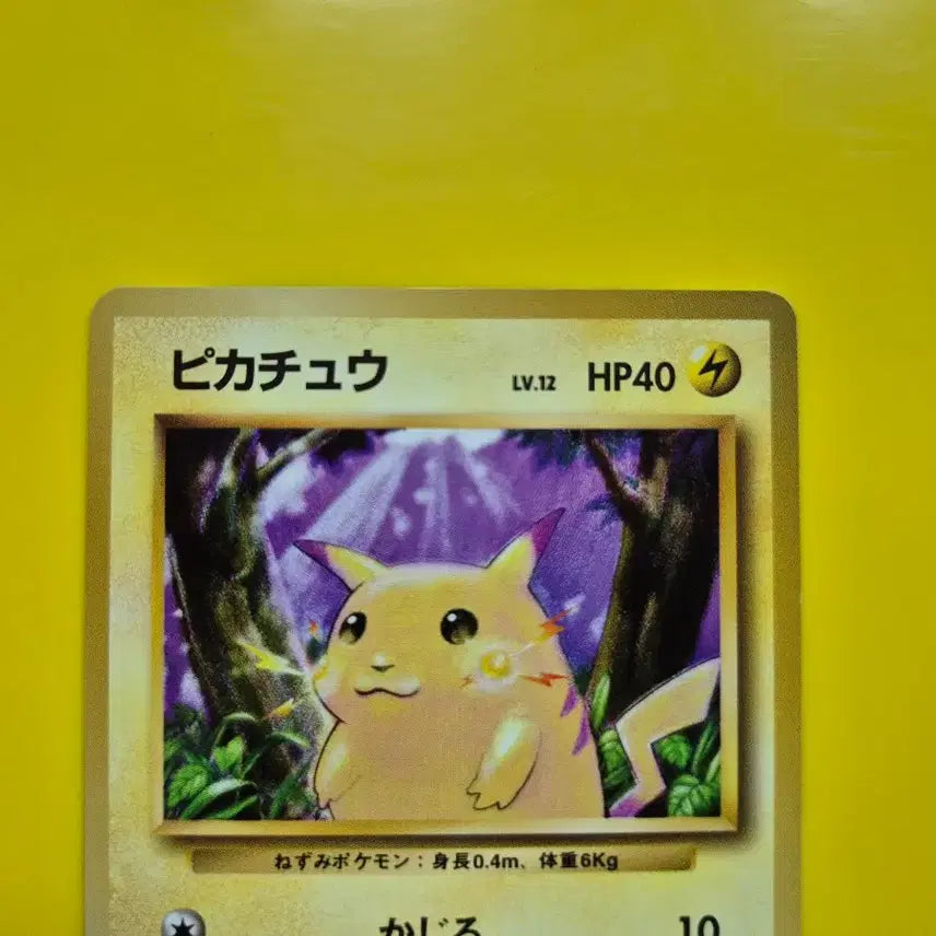 [BUNJANG] Pokemon Card Pikachu 1st Edition Japanese / 포켓몬카드 1996 큰 피카츄 초판 일판 일본판 7